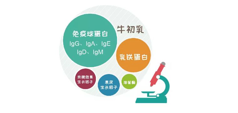 母牛健康卫士_牛亚健康的调理_母牛亚健康