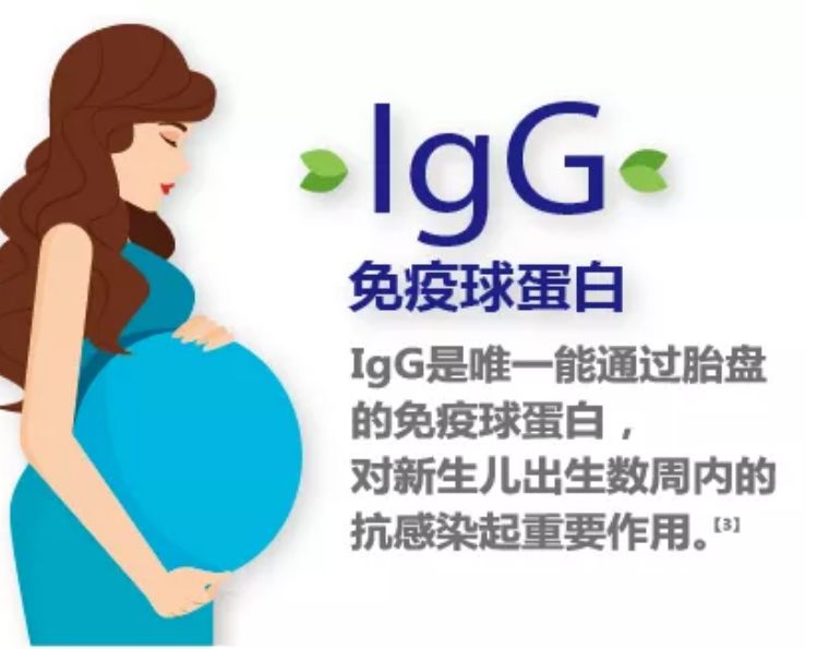 母牛亚健康_牛亚健康的调理_母牛健康卫士