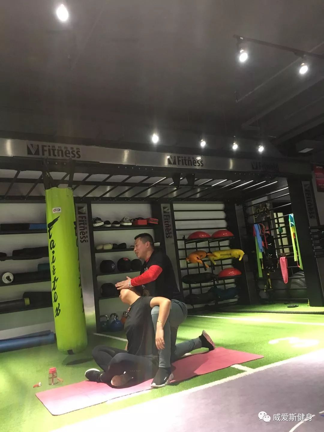娱乐圈健身最好的男明星_燃脂健身男明星_健身明星男燃脂图片
