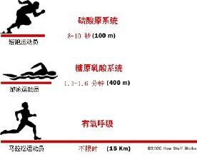 老运动员的精神_老运动鞋图片_运动不老