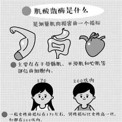 运动后肌肉肿胀_运动后肌肉肿胀多久才能消失_肌肉肿胀运动后更肿了